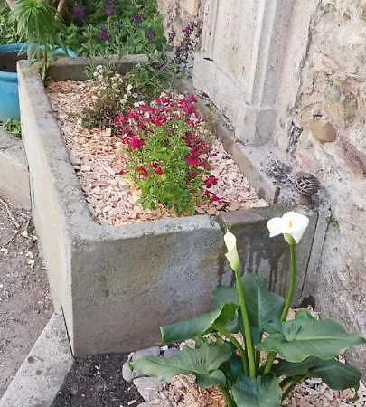 Le 9 De Cour, Chaco 3* Καρκασόν