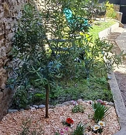 Le 9 De Cour, Chaco Carcassonne